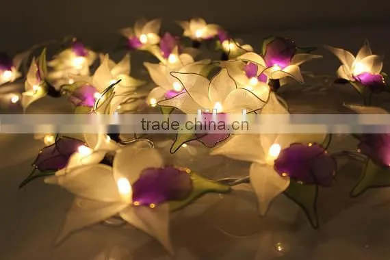Warm White Operated LED String Lights photo-2
