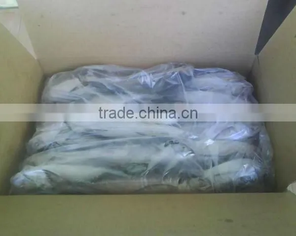 Fresh Frozen Horse Mackerel Fish From Alo Seafood Co., photo-4