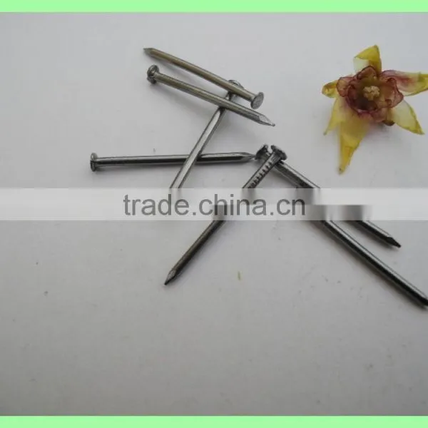 Wire Nails in 1kg Box photo-4