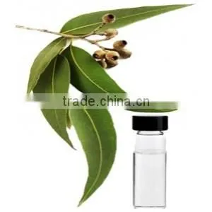 Eucalyptus Oil photo-4