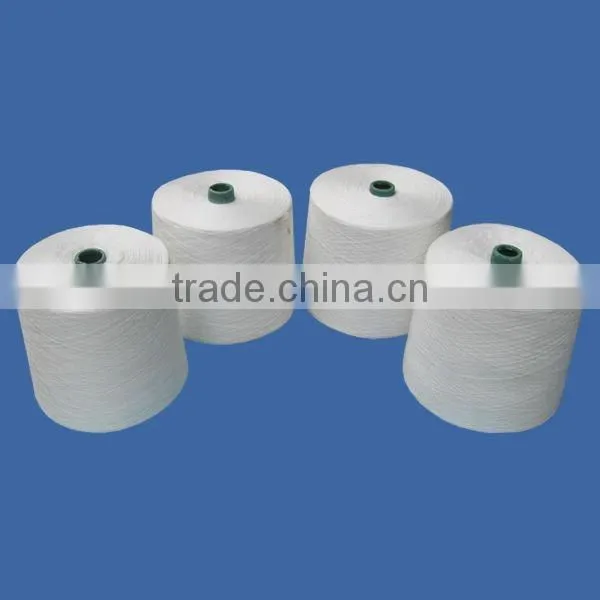 20/2 100 Pct Polyester Sewing Thread for Luggage