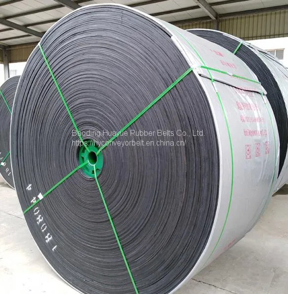 Cold Resistant Steel Cord Conveyor Belt photo-3