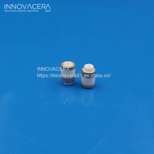 Metallized Ceramic Tube photo-2