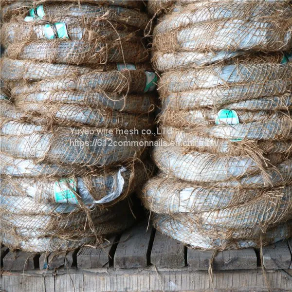 Hot Dipped Galvanize Wire/Galvanized Iron Wire/Binding Wire photo-5