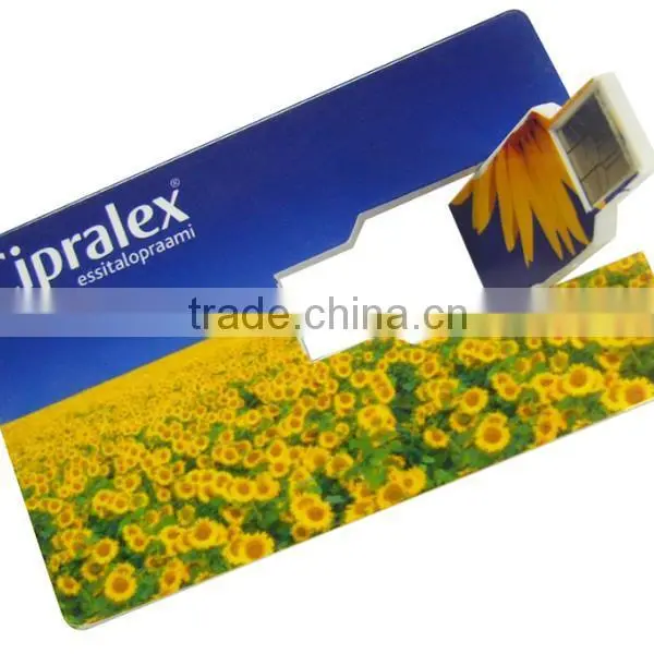 High Quality Color Printing Usb Flash Drives Custom Usb Business Card by OEM Usb Factory Wholesale photo-3