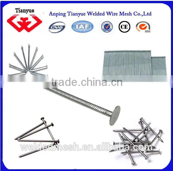 Hot Sale Kinds of Common Nails photo-4