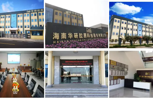 Hainan Huayan Collagen Technology Co., Ltd company overview - view 1