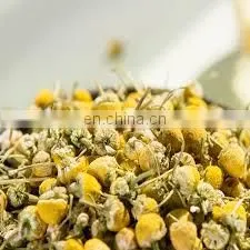 Chrysanthemum Tea Extracted From Chrysanthemum Flower the Optimal Choice for Your Health From Vietnam photo-5