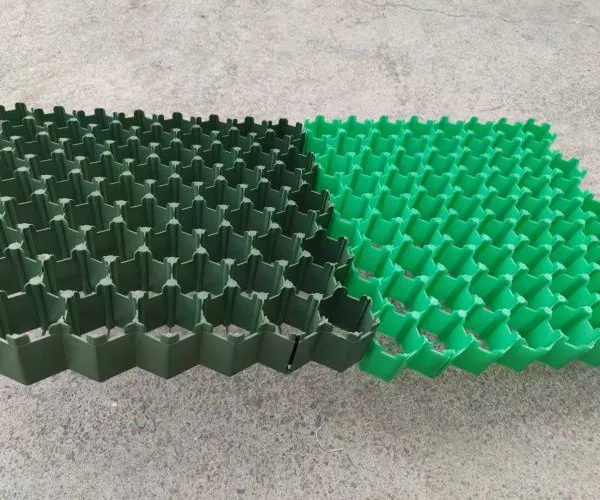 5cm7cm Flower Mouth Flat Mouth Grass Green Parking Lot Fire Lane Roof Garden Grass Planting Grid photo-3