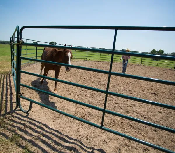 2025 Hot Sale Cheap Field Yard Horse Goat Sheep Corral Panels Farm Fence Panels Cattle Fence on Farm With High Quality photo-2