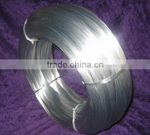 China Electro Galvanized Iron Wire/gi Wire photo-3