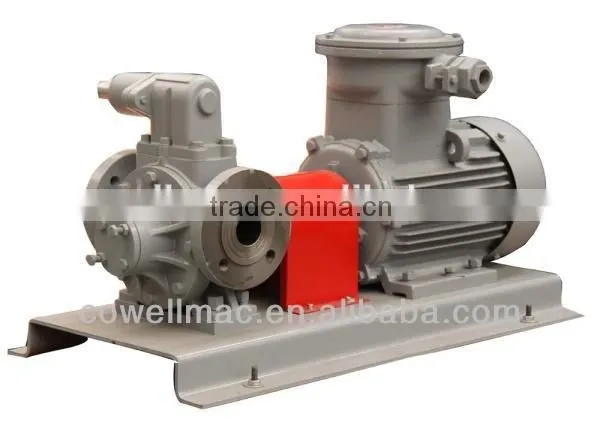 LPG Serial Pump LYB-40 Sliding Vane Pump Fuel Vane Pump photo-2