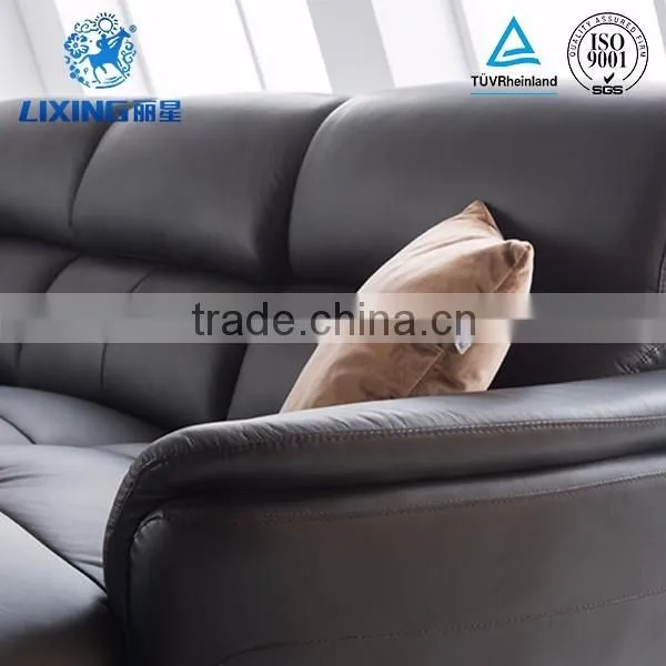 Leisure Sofa Home Furniture Black Designer Sofa photo-4