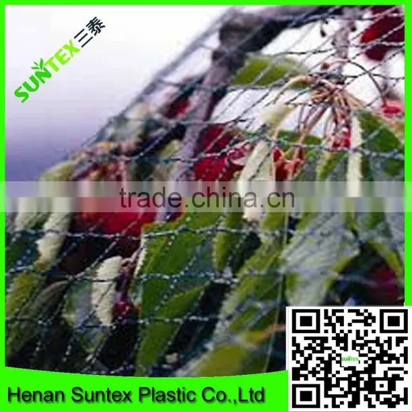 Clear Anti Bird Hail Cover Net/uv Resistance Woven Mesh Net/reinforced Hail Guard Net photo-6