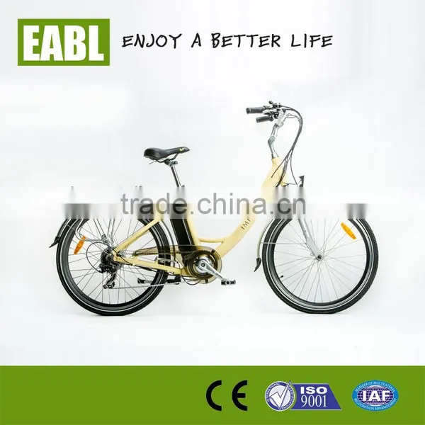li Ion 24v Battery Pack for E-bike