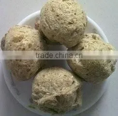 Tissue Proteins Extruder Machine/Equipment photo-4