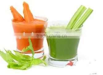 Fruit Pulp Extractor Machine on Sale photo-4