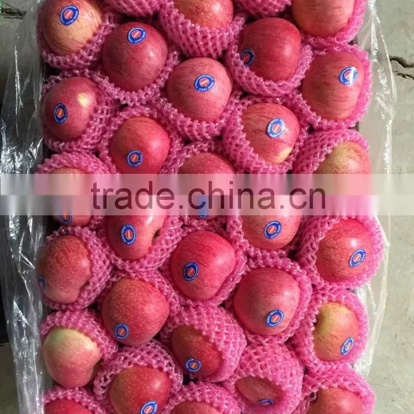 Export Qinguan Apple Company photo-6
