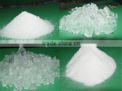Water Beads for Plants Super Absorbent Polymer