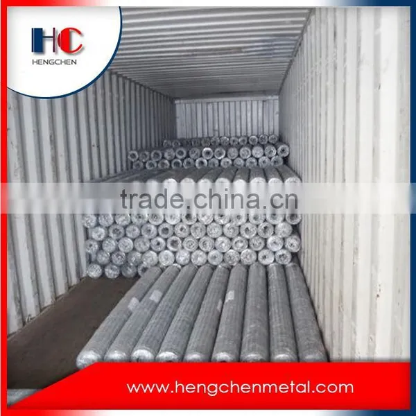 China Manufacturercoated Hexagonal Wire Mesh Netting photo-6