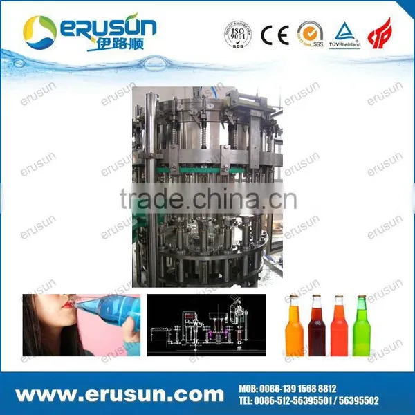 Fully Automatic Glass Bottle Orange Bottling Machine photo-6
