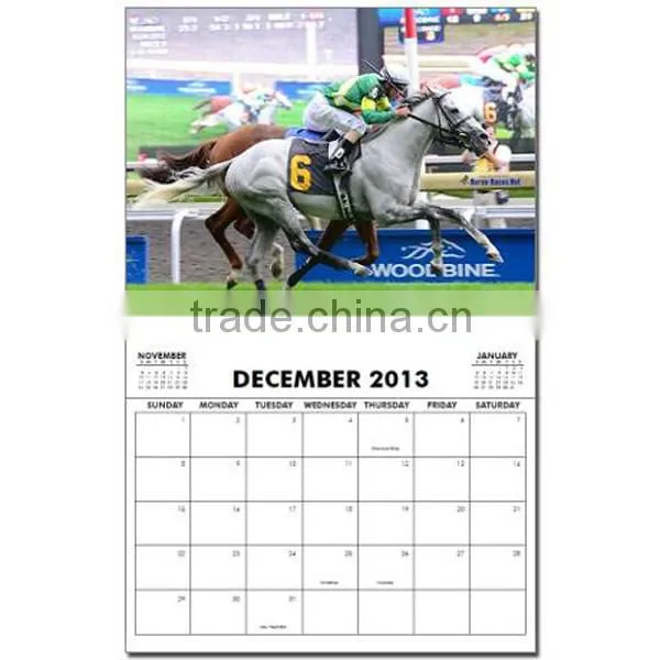 2016 Promotional Calendar,Yearly Calendar,Wall Calendar With Glossy Lamination photo-4