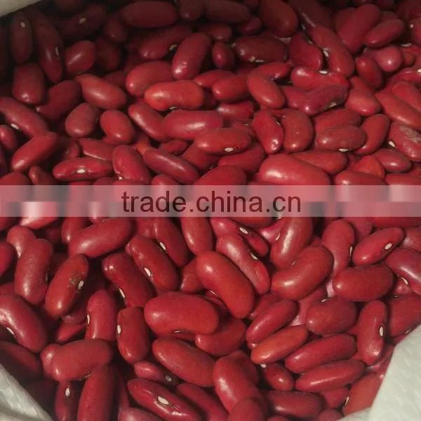 2016 New Crop Dark Red Kidney Bean