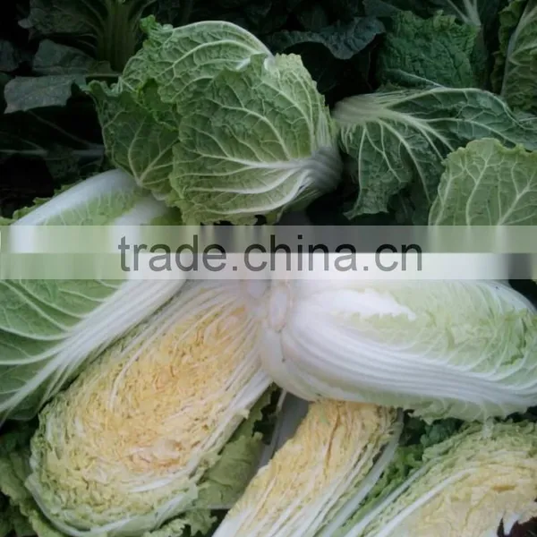 Chinese Cabbage photo-3