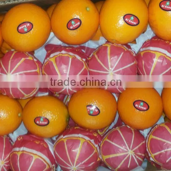 Forwell Oranges From Egypt photo-4