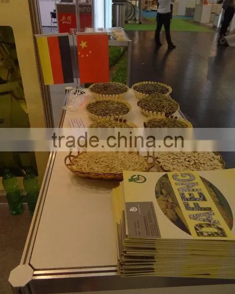 Wholesale Chinese White Pumpkin Seeds With High Quality photo-6