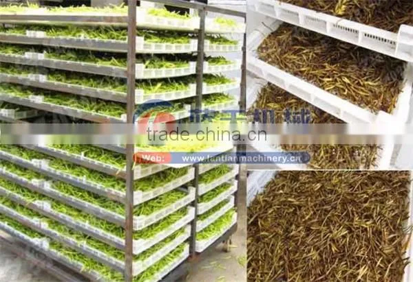 Guangzhou Tea Leaf Heat Pump Dryer/onion Cabinet Drier photo-2