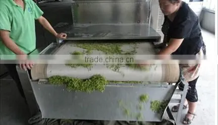 Small Fruit Drying Machine,drying Machine for Vegetable/ Fruits,industrial Fruit Drying Machine With Cheapest Price photo-6