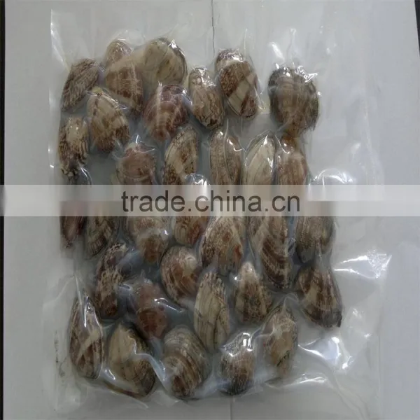 High Quality Vacum Packed Short Necked Clam photo-4