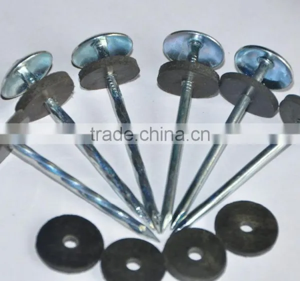 Galvanised/zinc Plated Umbrella Roofing Nails photo-3