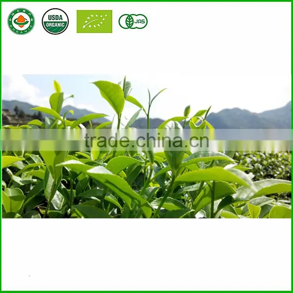 China Tieguanyin Oolong Tea, Natural Organic Health Tea, Slimming Tea Sweet Fragrance Fujian Anxi Oolong Tea photo-3