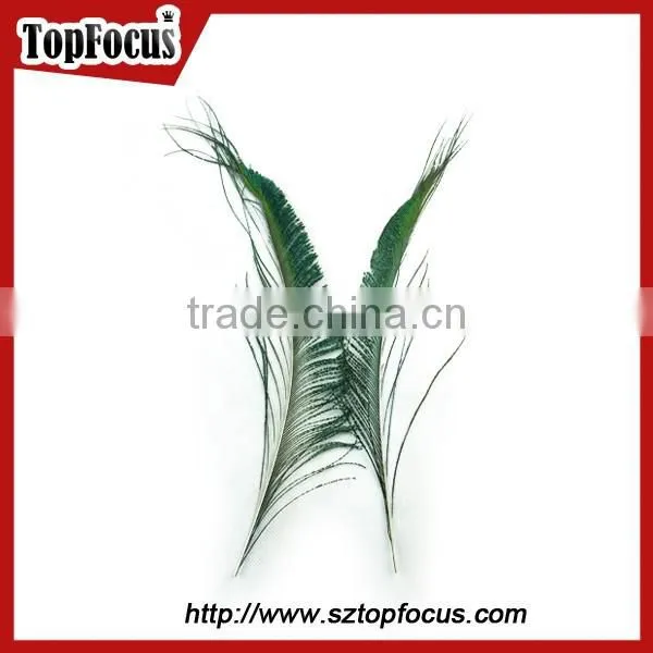 Pack Best Natural Peacock Feathers Long Genuine Halloween Peacock Feather Dress photo-5