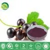 Blackcurrant Juice Powder
