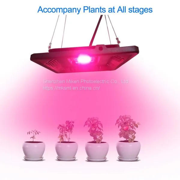 Waterproof CE ROHS 50w 100w 150w IP68 Cob Led Grow Light