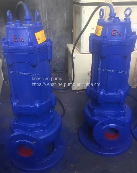 QW Submersible Wastewater Pump Trash Pump photo-2