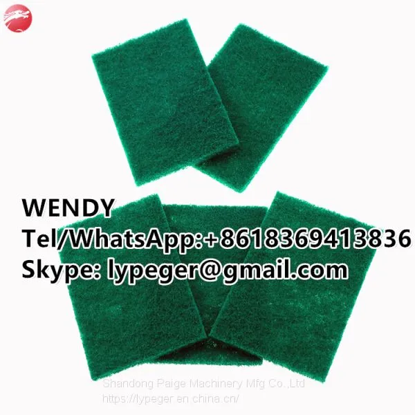 Kitchen Cleaning Nylon Scouring Pad photo-3