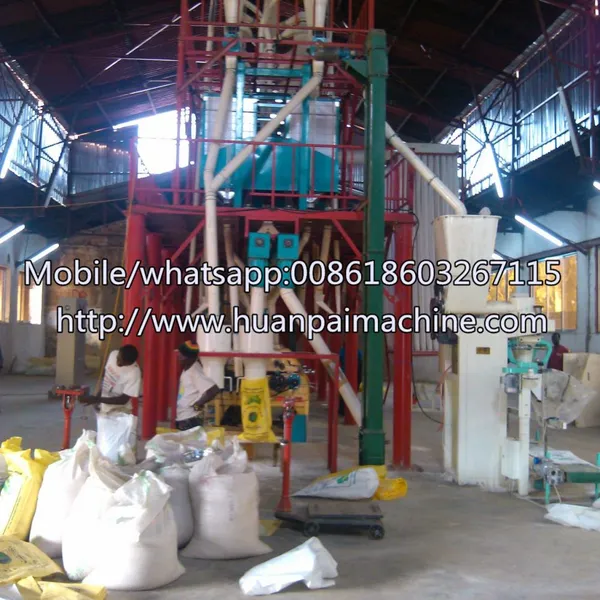 Small 10T 20T 50T Grinder Machine Automatic Maize Corn Grain Milling Machine Grinding Equipment photo-5