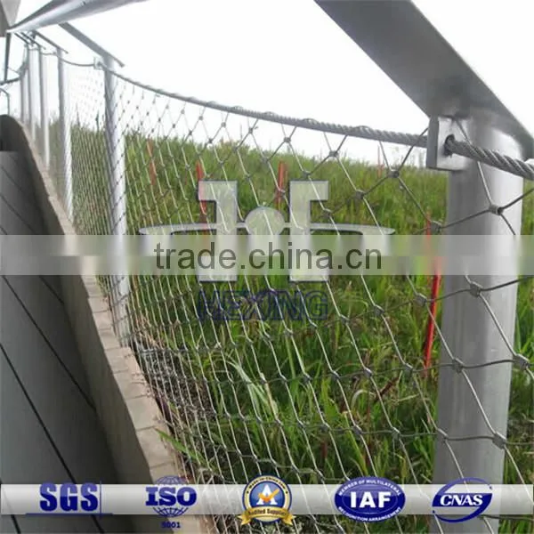 Architectural Design Wire Rope Mesh,stainless Steel Wire Rope Netting