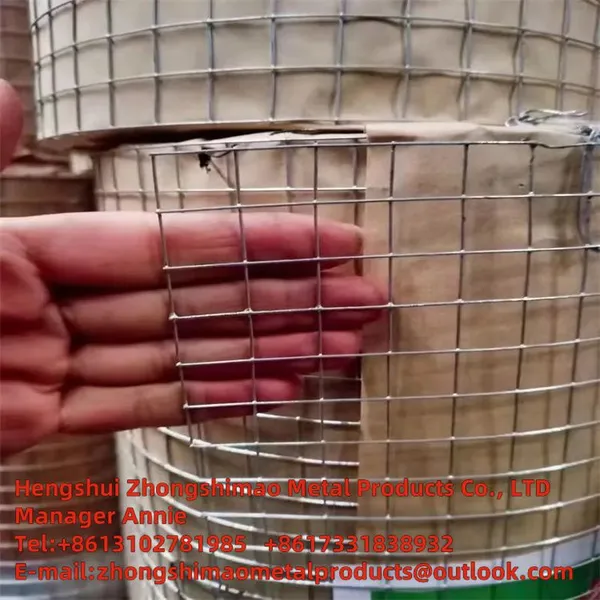 STAINLESS STEEL WELDED MESH/Welded Wire Mesh//wire Netting photo-2
