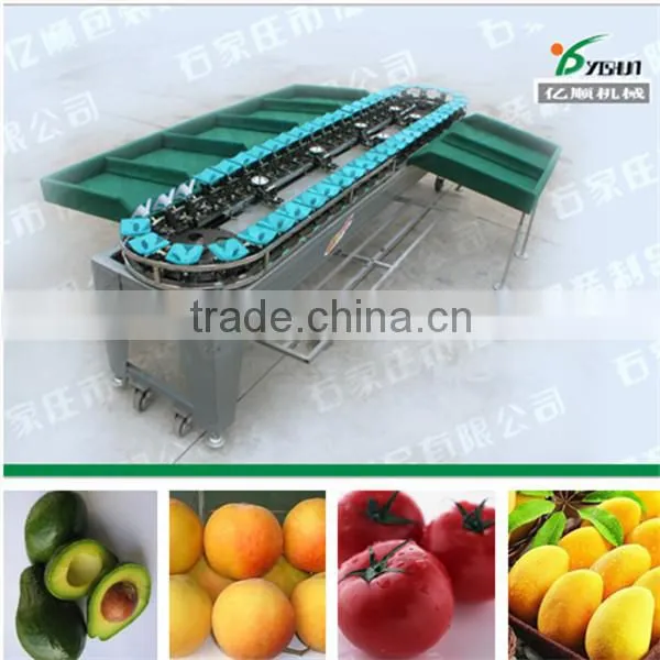 Sorter Type Onion Sorting Machine photo-6