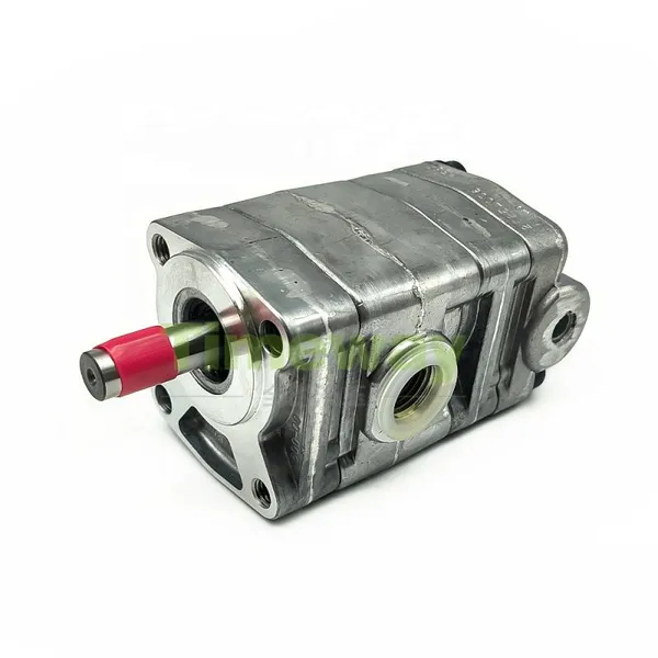 YPD1 Double Gear Pump YPD1-2.52.5A2D2-L038 High Pressure Hydraulic Heavy-duty Gear Lubetransfer Oil Pump photo-3