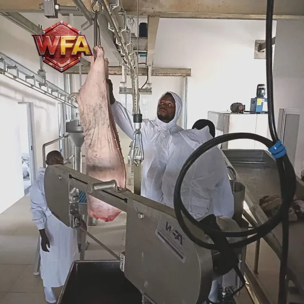 Automatic Complete Pig Slaughter Line Turnkey Modular Pig Abattoir Equipment Supplier From China photo-4