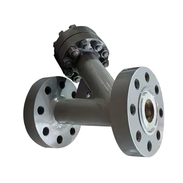 Manufacturer Direct Sales of High-quality Flange Y-Strainer photo-4