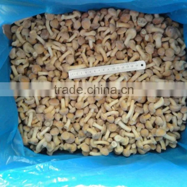 Cheap Good Quality Frozen New Nameko Mushroom Wholesale Price photo-2