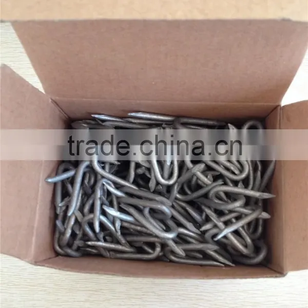 Fence Staple Factory Price photo-4