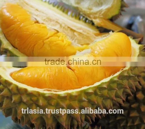 Fresh Musang King Durian photo-3